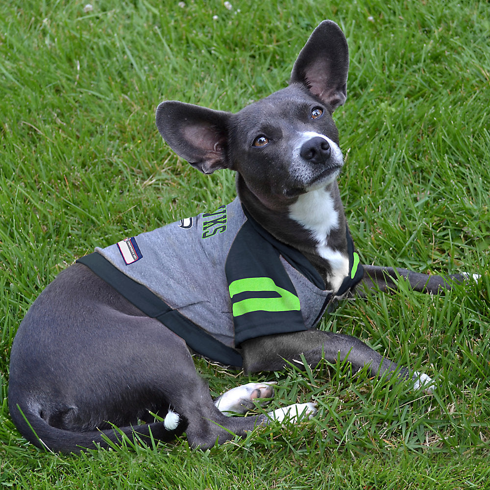 Pets First NFL Seattle Seahawks #12 DOGS & CATS Premium Raglan