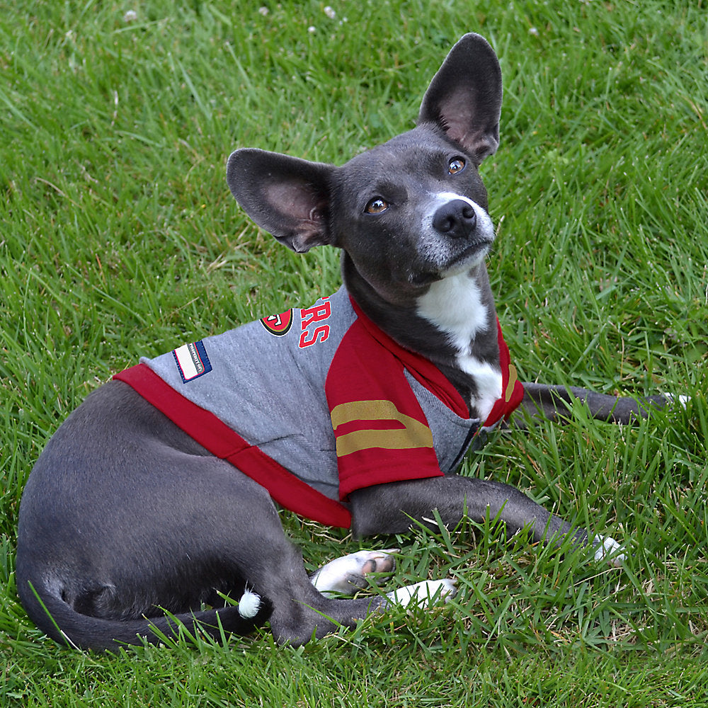 San Francisco 49ers Lightweight Pet Hoodie