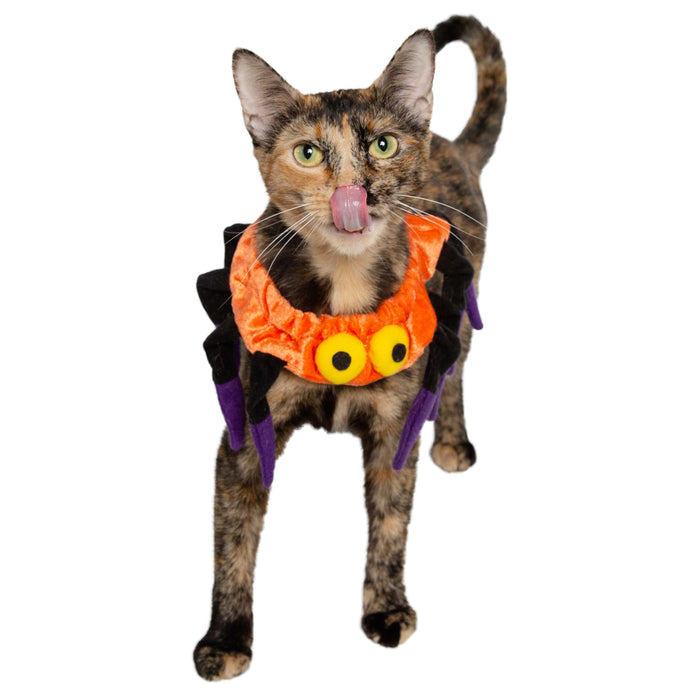 Spider Collar Cat Costume - 3 Red Rovers