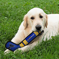 ST LOUIS BLUES Dog Pet NHL Sports Collar (sizes)