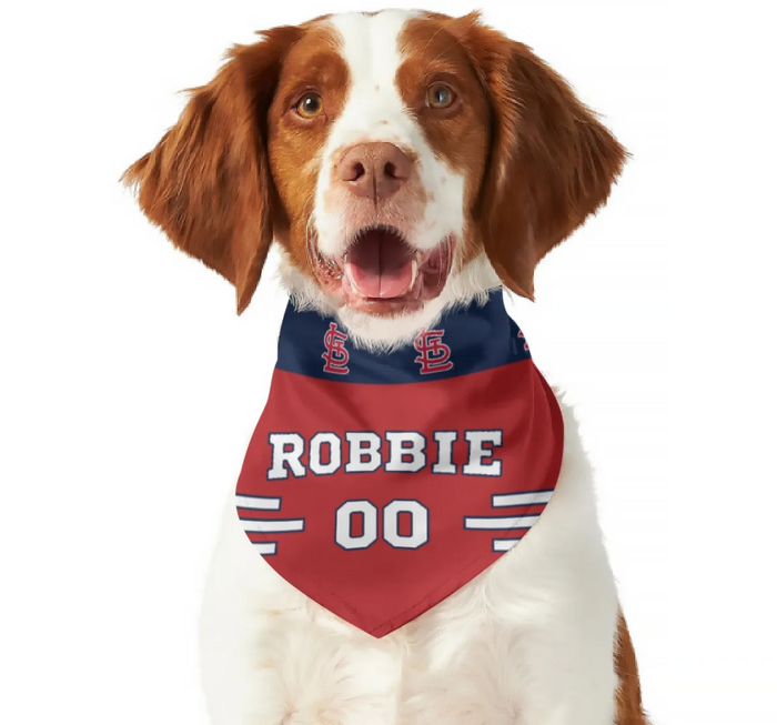 Cardinals dog best sale jersey