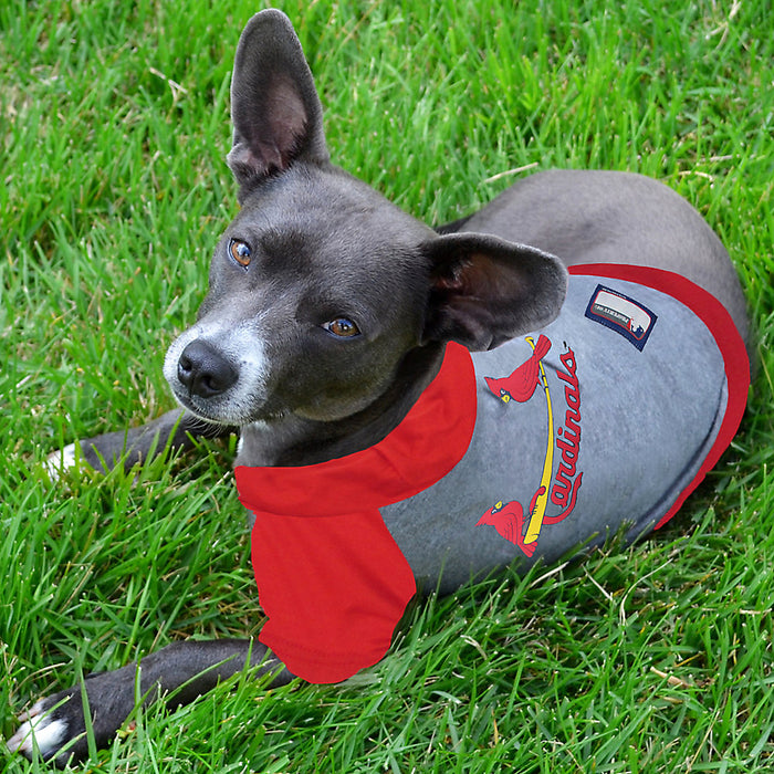 Pets First St. Louis Cardinals Red Dog Collar, Medium at