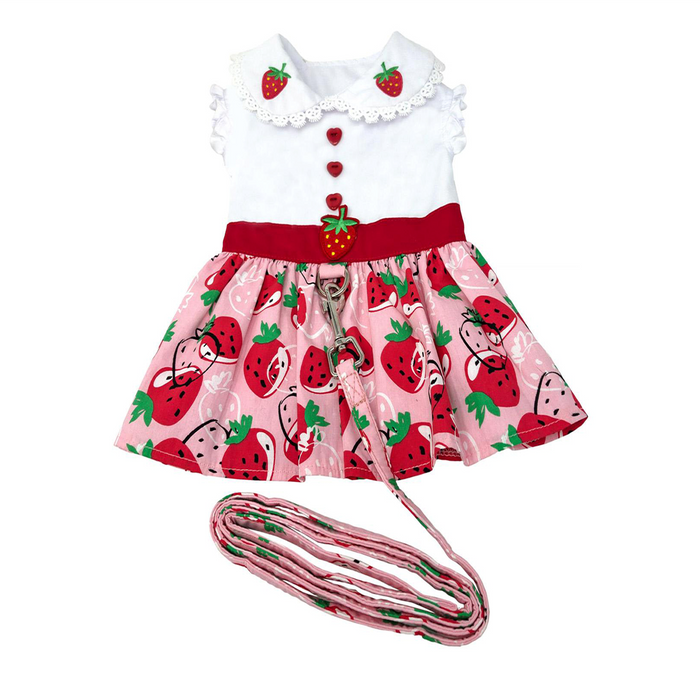 Strawberry Picnic Dress with Matching Leash - 3 Red Rovers