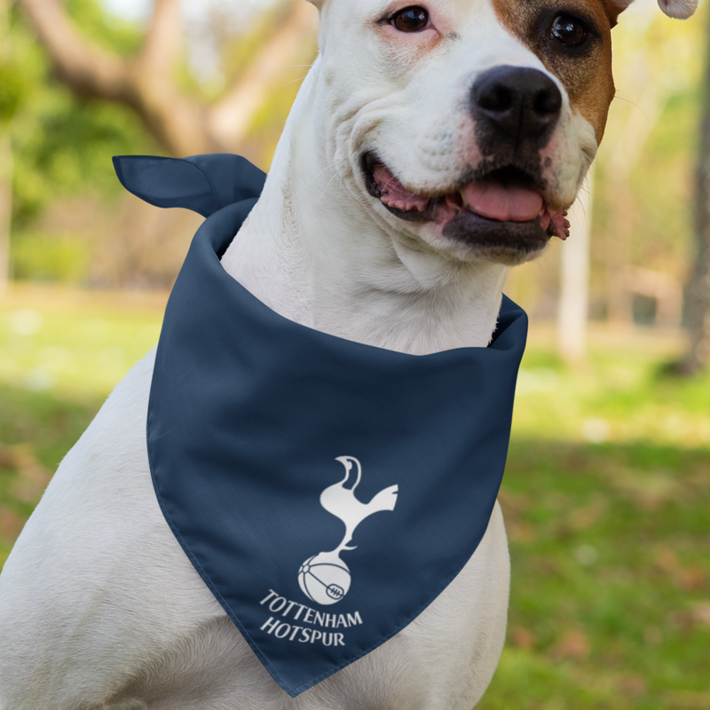 Ut sales dog bandana