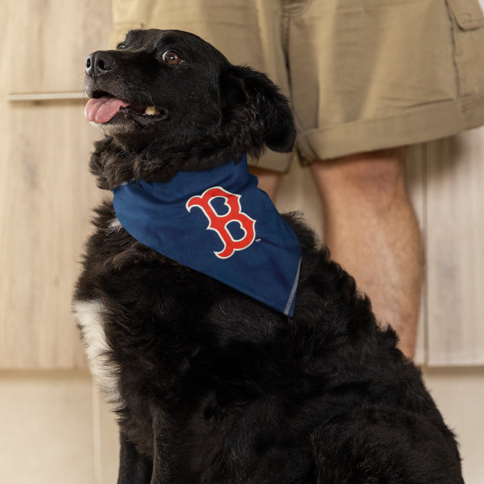 Dog red sox 2024 jersey