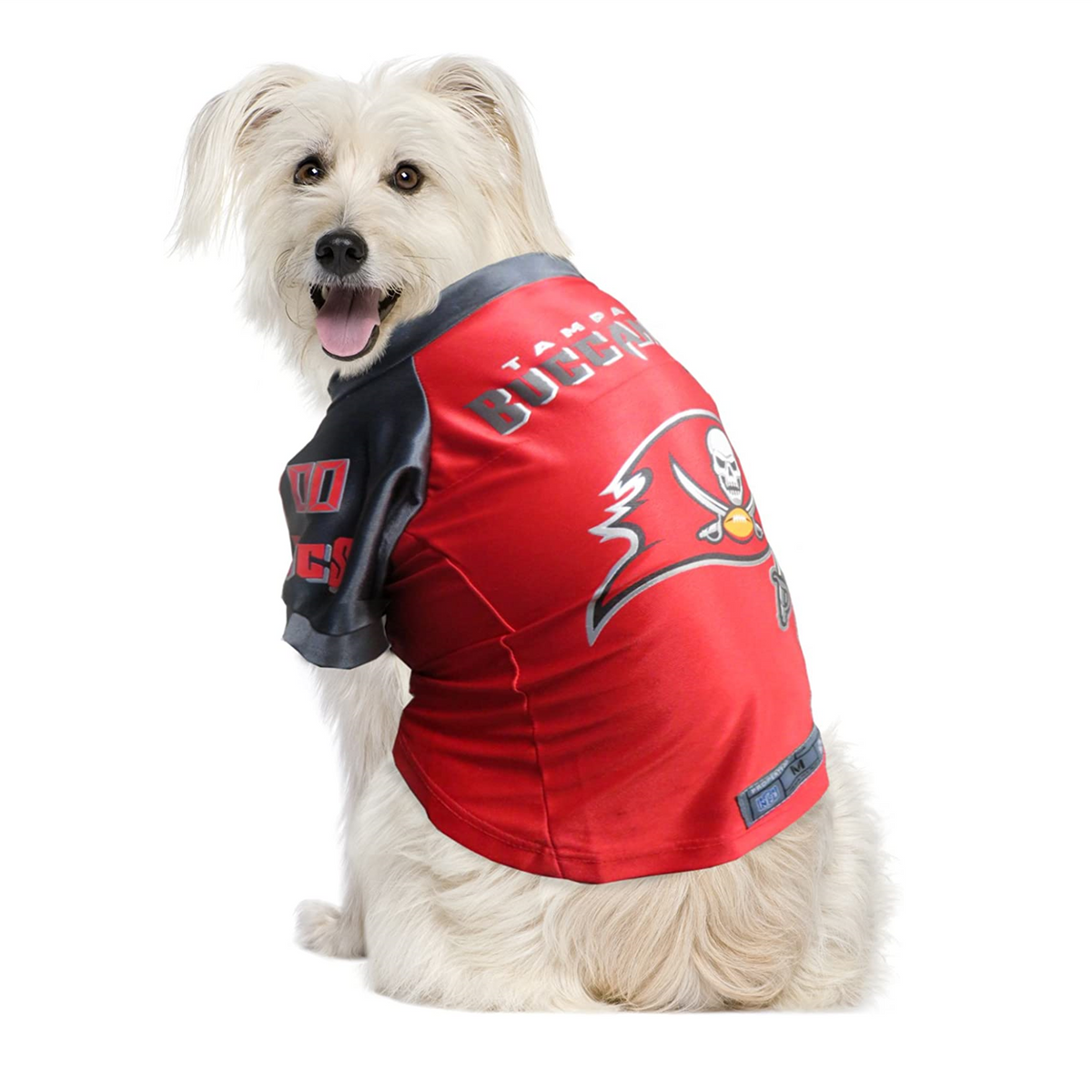 Tampa bay buccaneers best sale dog jersey