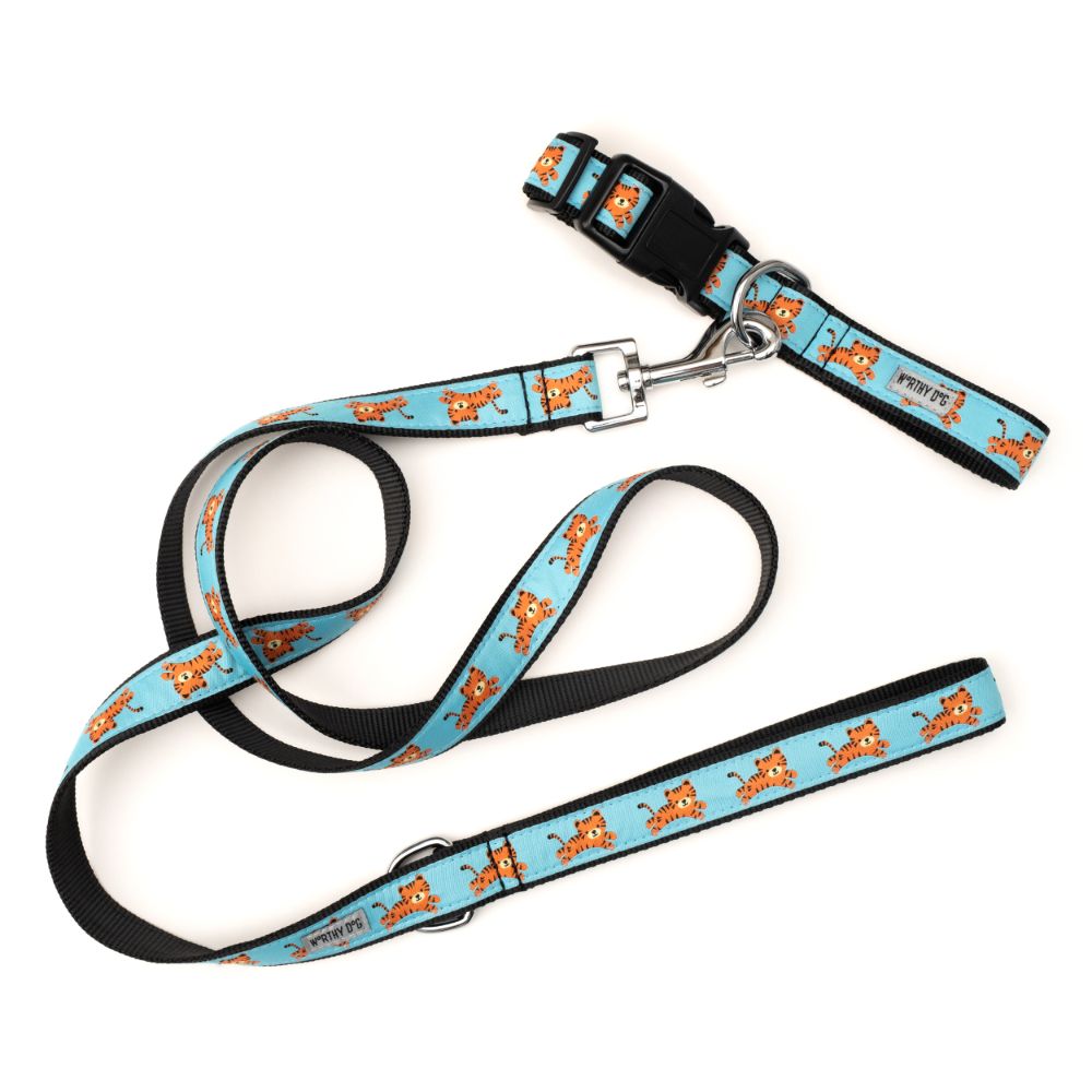 Zoofari dog collar outlet and lead