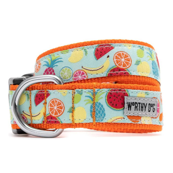 Tutti Frutti Collection Dog Collar or Leads - 3 Red Rovers