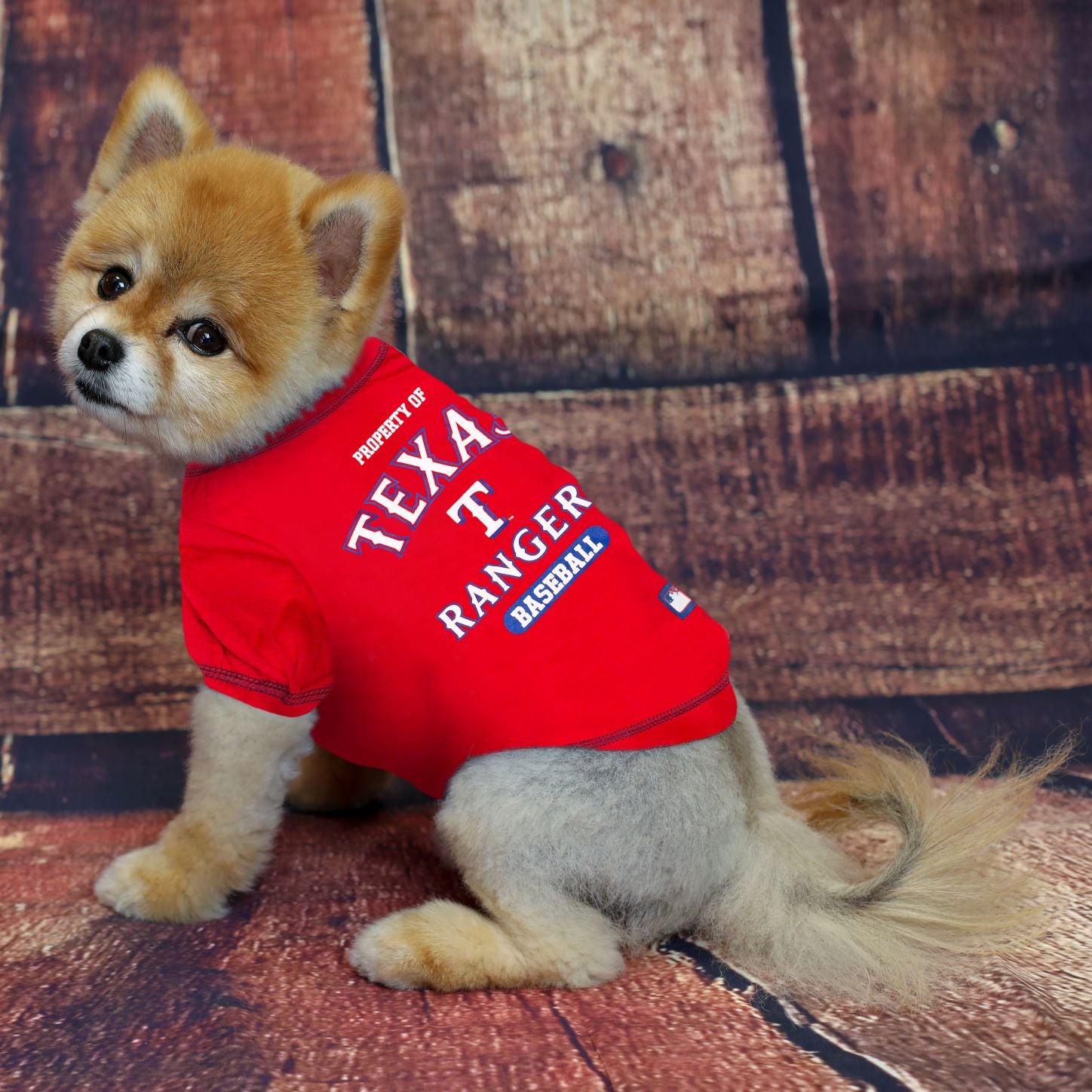 Texas rangers store dog jersey