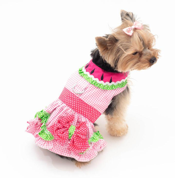 Watermelon Harness Dress with Leash - 3 Red Rovers