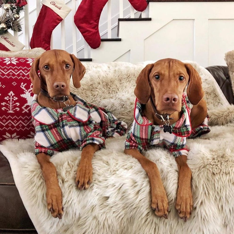 Red & Plaid Christmas Pet & Owner Pajamas