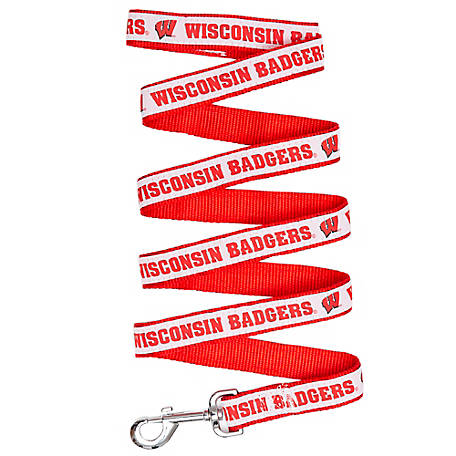 WI Badgers Dog Leash - 3 Red Rovers