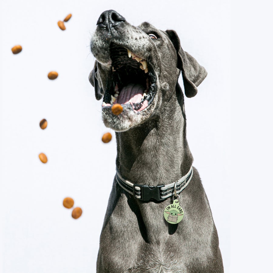 Star Wars Grogu I'm All Ears Pet ID Tag - 3 Red Rovers