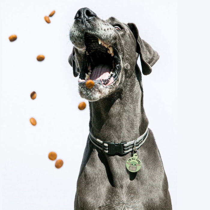 Star Wars Grogu I'm All Ears Pet ID Tag - 3 Red Rovers