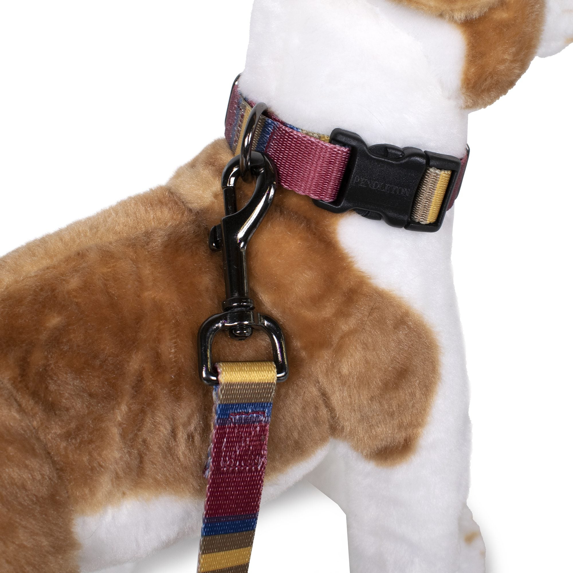 National park 2024 dog collar